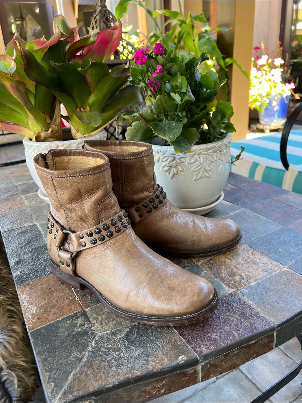 Frye Phillips Studded Harness Ankle Boots in Taupe 8 - Picture 3 of 6